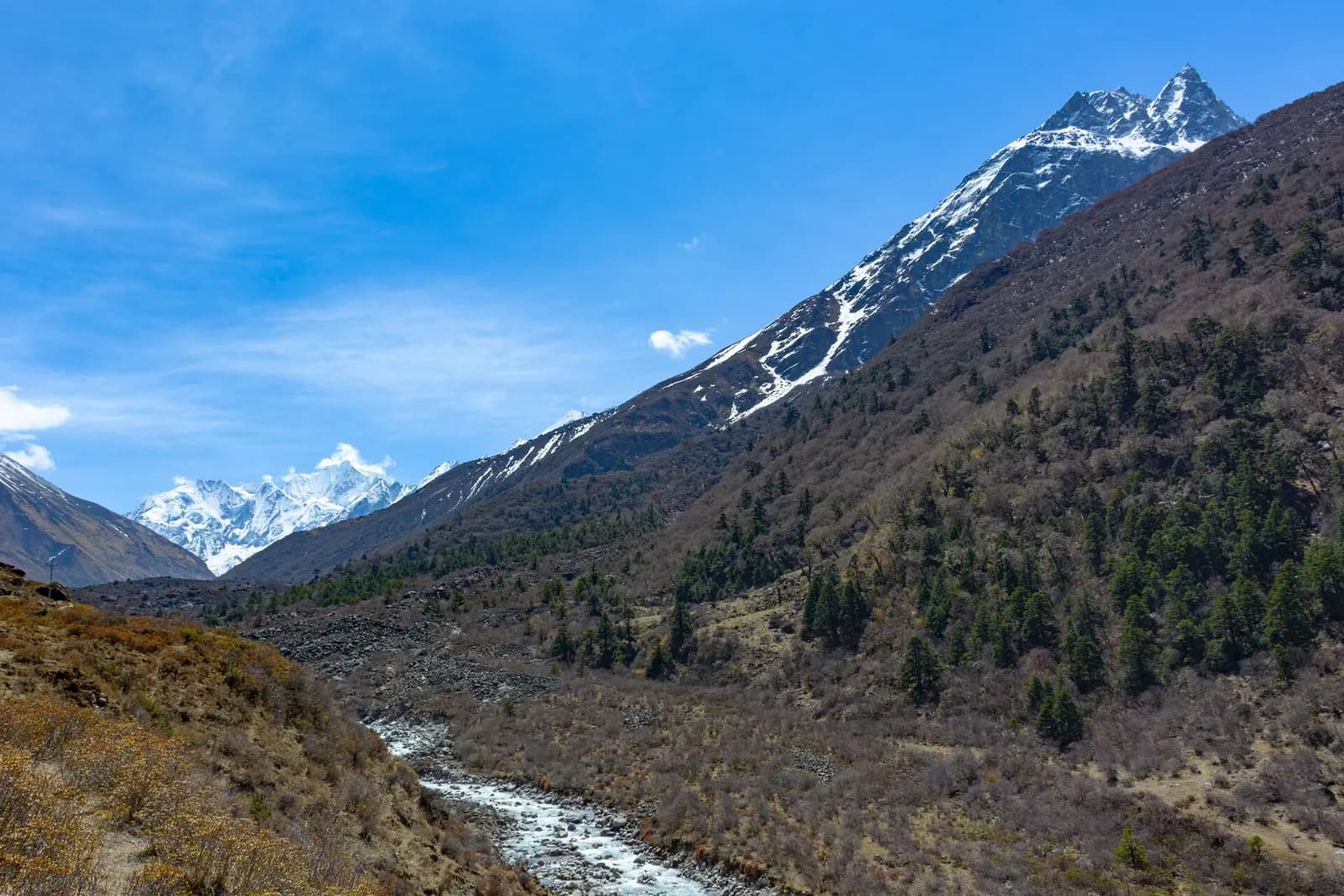 A peaceful view along the Langtang Valley trail in normal trekking conditions.
