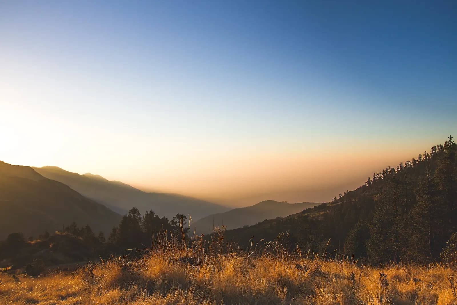 Early morning golden light striking the Annapurna and Dhaulagiri ranges from an Annapurna ridge viewpoint.