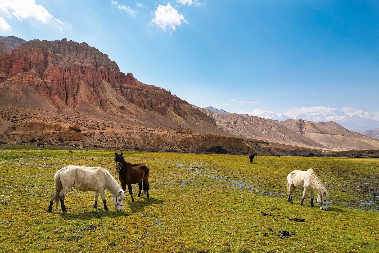 Upper Mustang Trek route preview